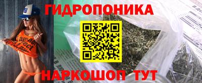 твердый Будённовск
