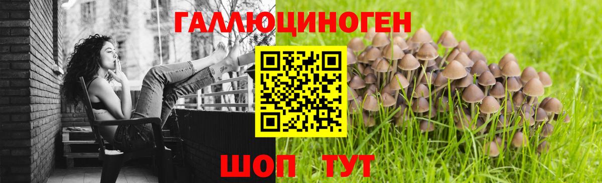 Псилоцибиновые грибы мицелий Чайковский