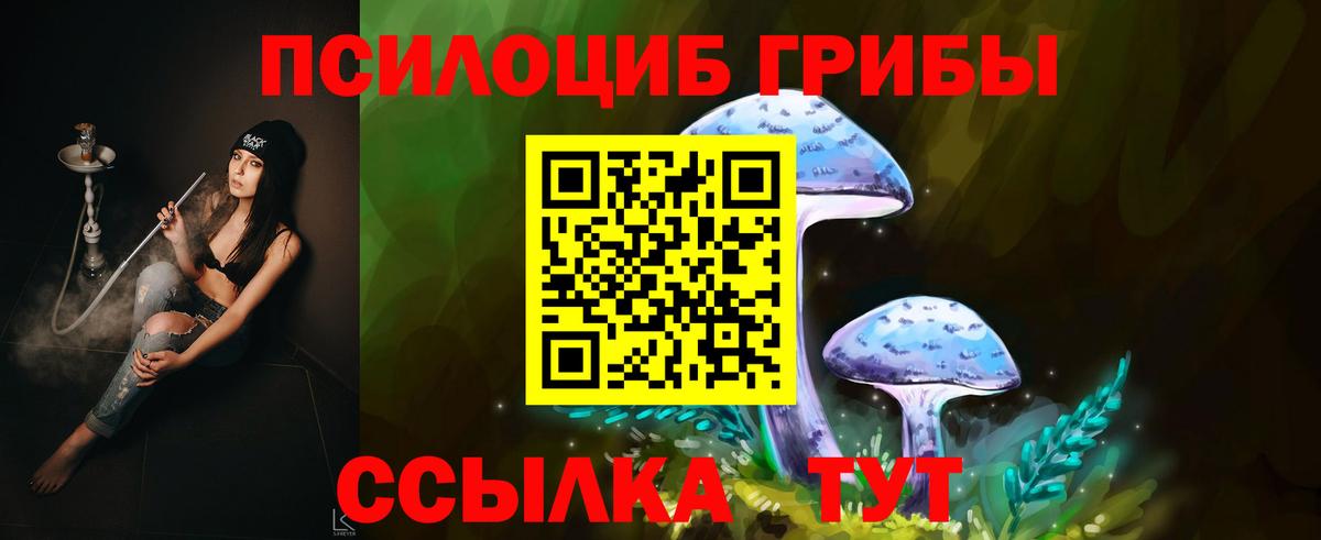 Чайковский  Псилоцибиновые грибы ЛСД  Вход с VPN 